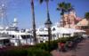 View Full Size